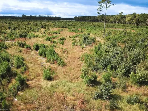 193 Acres Saxis Rd, Accomack County, VA 23427 photo 7