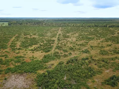 193 Acres Saxis Rd, Accomack County, VA 23427
