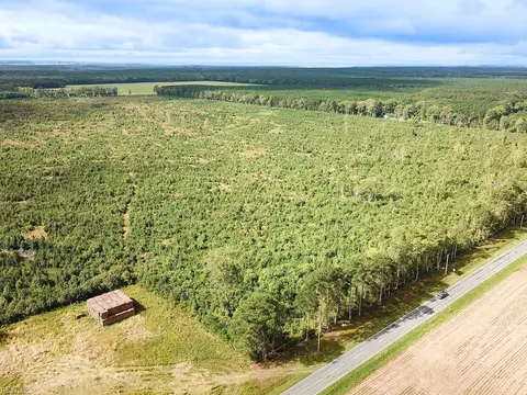 193 Acres Saxis Rd, Accomack County, VA 23427 photo 2