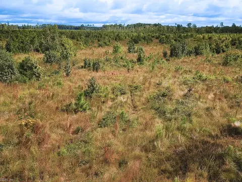 193 Acres Saxis Rd, Accomack County, VA 23427 photo 25