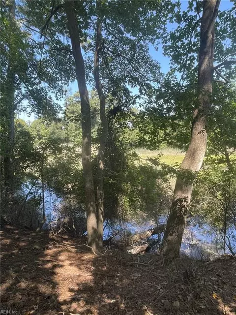 View/Area - 2064 Nicklaus Dr, Suffolk, VA 23435 photo 2 of 3