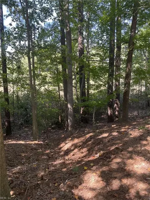Other - 2064 Nicklaus Dr, Suffolk, VA 23435 photo 2 of 2