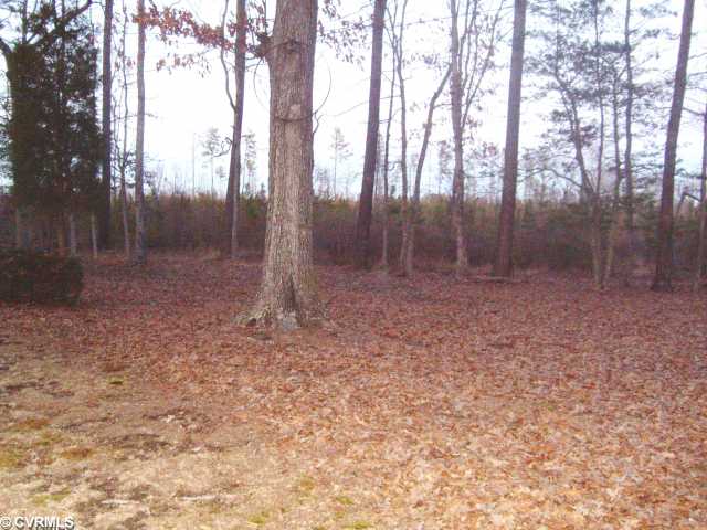 9303 Dabney Dr, Sutherland, VA 23885 photo 2