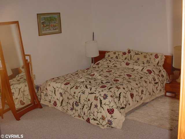 22223 Hunters Run Ln, Zuni, VA 23898 photo 9