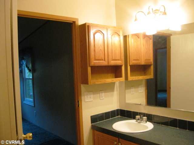 17405 Hamilton Arms Ct, Dewitt, VA 23840 photo 7