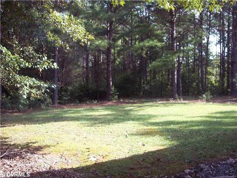 709 Millstone Ln, Brodnax, VA 23920 photo 3