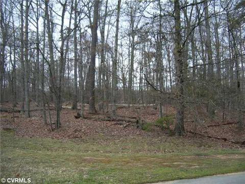 2800 Robious Xing, Midlothian, VA 23113 photo 2