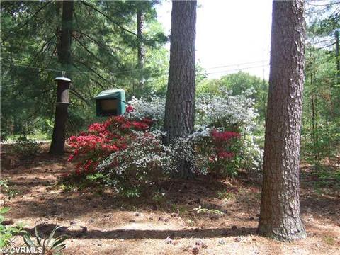 5701 Courthouse Rd, Providence Forge, VA 23140 photo 6