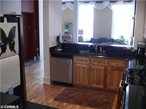 1205 E Main St #3-E, Richmond, VA 23219 photo 3