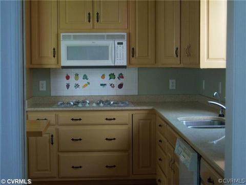 107 Machrie, Williamsburg, VA 23188 photo 7