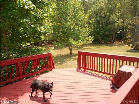16195 Glebe Rd, Dewitt, VA 23840 photo 4