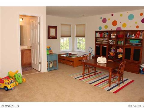 14201 Charters Bluff Pl, Midlothian, VA 23114 photo 14