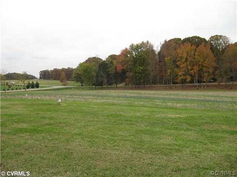 775 Three Chopt Rd, Manakin Sabot, VA 23103 photo 19