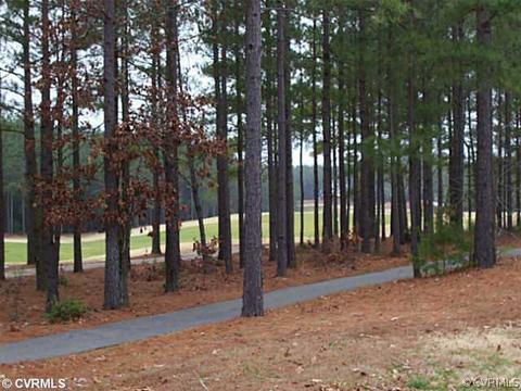 10423 Pine Warbler Dr, Providence Forge, VA 23140 photo 14