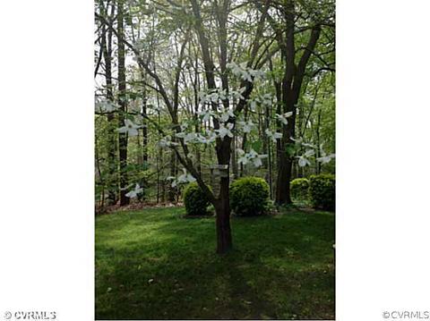 13063 Fairway Ln, Ashland, VA 23005 photo 14