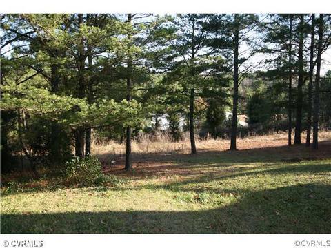 7817 Migration Dr, Henrico, VA 23231 photo 20