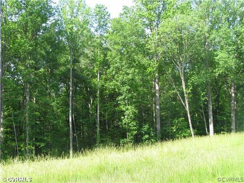 11317 Bundle Rd, Chesterfield, VA 23838 photo 1
