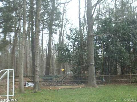14211 Long Gate Rd, Midlothian, VA 23112 photo 20