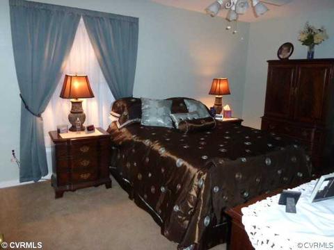 12401 Brimfield Ln, Midlothian, VA 23114 photo 9