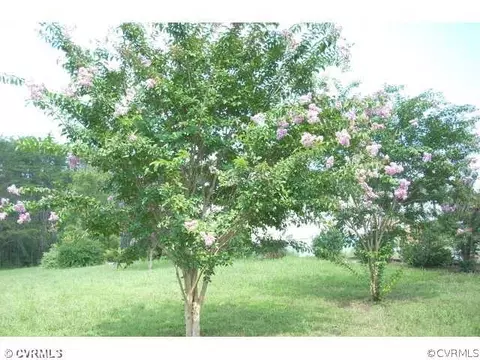 37 Trice Rd, Bumpass, VA 23024 photo 9