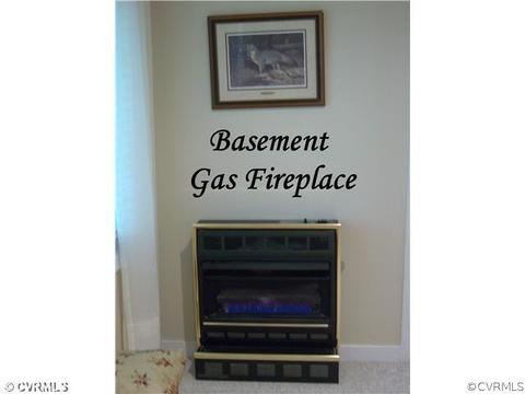 14208 Spring Gate Rd, Midlothian, VA 23112 photo 19