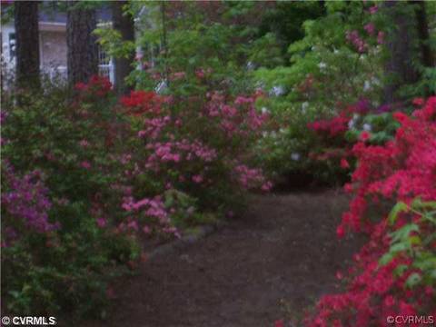 18029 Level Dr, Doswell, VA 23047 photo 7