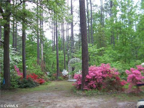 18029 Level Dr, Doswell, VA 23047 photo 4
