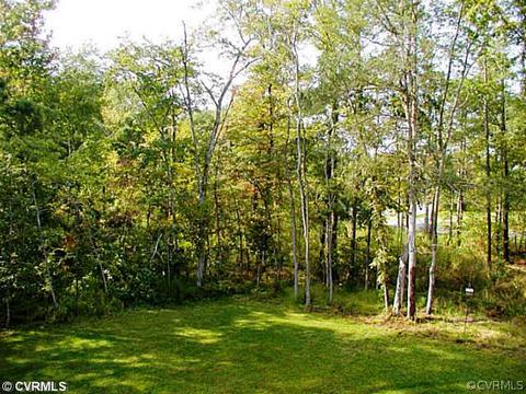 14631 Forest Row Trl, Midlothian, VA 23112 photo 21