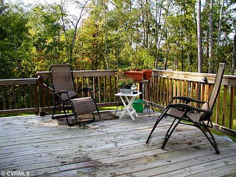 14631 Forest Row Trl, Midlothian, VA 23112 photo 19