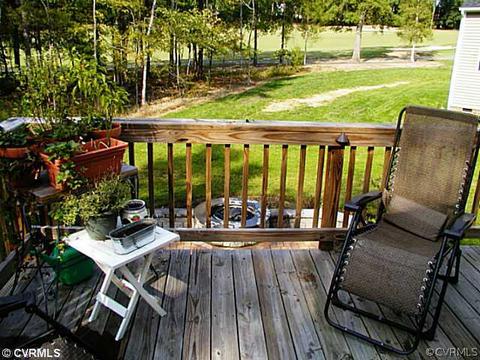 14631 Forest Row Trl, Midlothian, VA 23112 photo 20