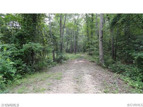 26035 Greentree Ln, Carson, VA 23830 photo 22