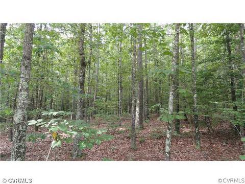 26035 Greentree Ln, Carson, VA 23830 photo 20