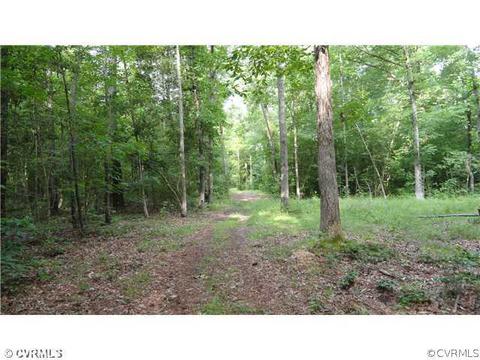26035 Greentree Ln, Carson, VA 23830 photo 23