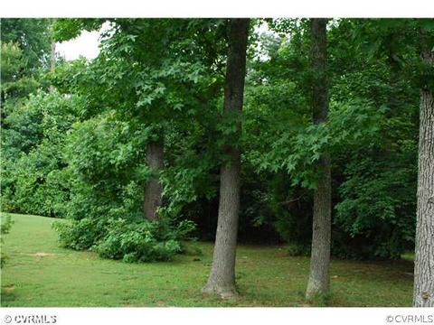 7300 Pinefields Pl, Henrico, VA 23231 photo 19
