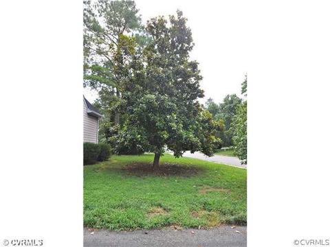 13300 Pointer Ridge Ter, Midlothian, VA 23112 photo 15
