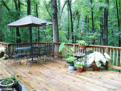 12410 Robious Rd, Midlothian, VA 23113 photo 10