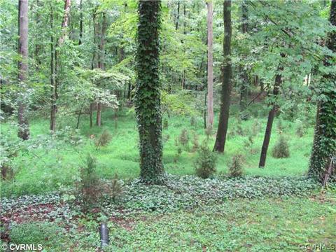 12410 Robious Rd, Midlothian, VA 23113 photo 12