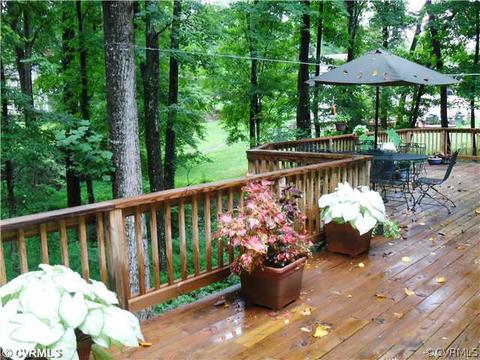 12410 Robious Rd, Midlothian, VA 23113 photo 11