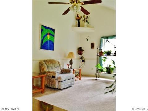 10064 Amber Dr, Sutherland, VA 23885 photo 6