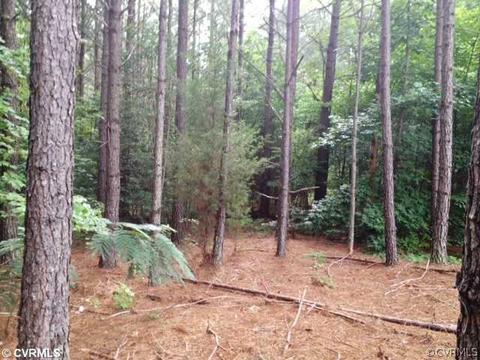 10064 Amber Dr, Sutherland, VA 23885 photo 19