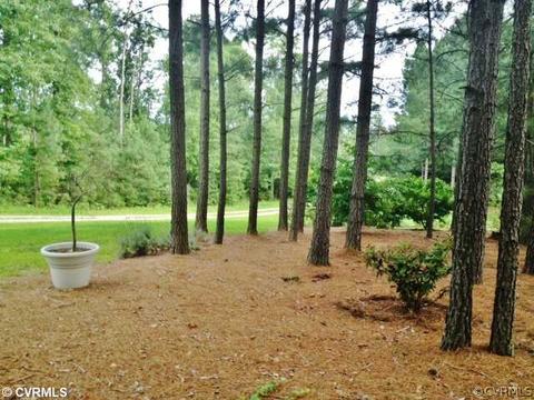 10064 Amber Dr, Sutherland, VA 23885 photo 18