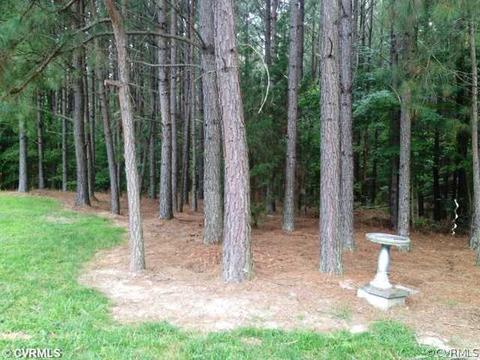 10064 Amber Dr, Sutherland, VA 23885 photo 17