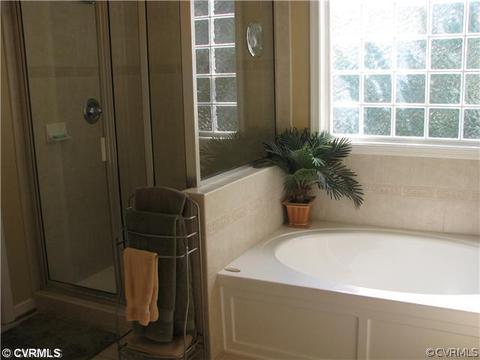 14313 Brading Ct, Midlothian, VA 23112 photo 10