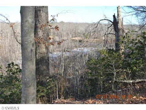 6 River Ct, Aylett, VA 23009 photo 14