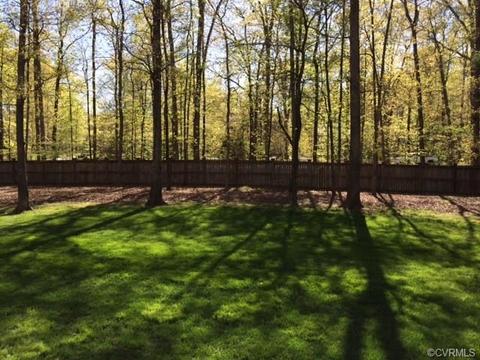 2710 Leafield Ter, Midlothian, VA 23113 photo 18