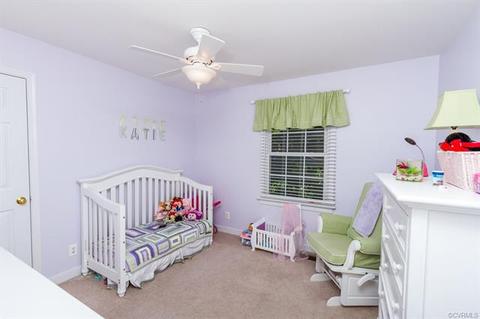 14005 Turtle Hill Rd, Midlothian, VA 23112 photo 13