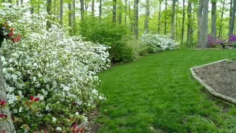 1500 Darrell Ter, Midlothian, VA 23114 photo 21