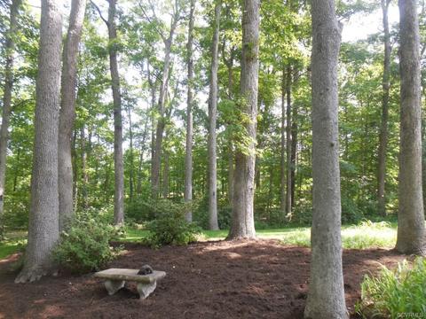 1500 Darrell Ter, Midlothian, VA 23114 photo 3