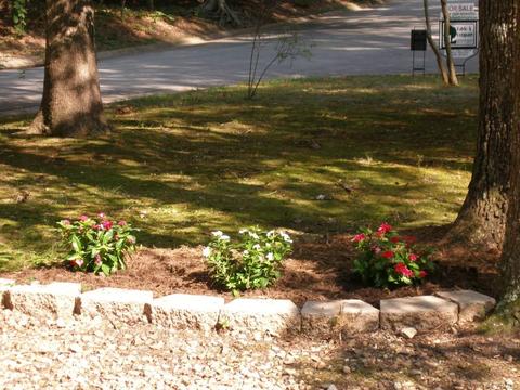 4462 Old Fox Trl, Midlothian, VA 23112 photo 18