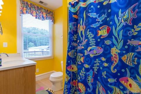 566 Deep Run Rd, Cartersville, VA 23027 photo 18